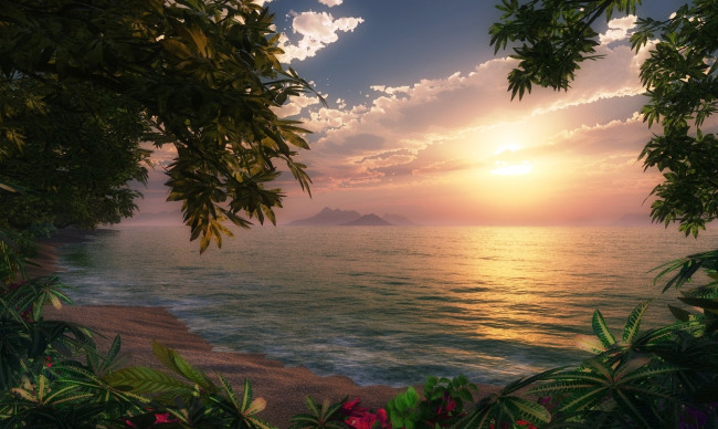 Обои картинки фото 3д графика, природа , nature, облака, берег, закат, море, тропики, цветы, деревья