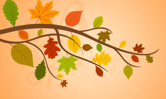 Обои картинки фото векторная графика, природа , nature, ветка, листья, осень