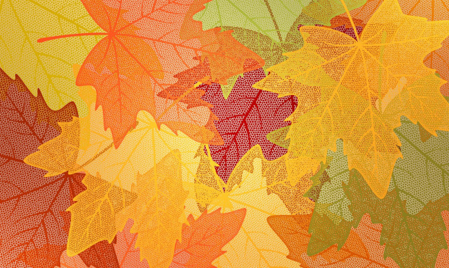 Обои картинки фото векторная графика, природа , nature, листья, осень