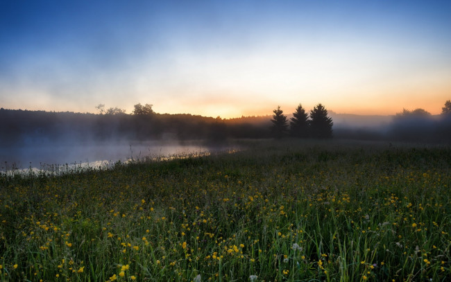Обои картинки фото природа, реки, озера, поле, луга, трава, цветы, река, туман, рассвет
