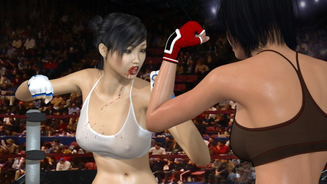 Обои картинки фото 3д графика, спорт , sport, девушки, взгляд, фон, ринг, борьба