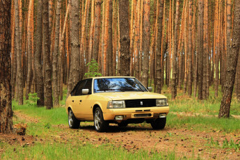 обоя москвич- 2141, автомобили, москвич, москвич-, 2141, автомобиль, жёлтый, ретро, лес