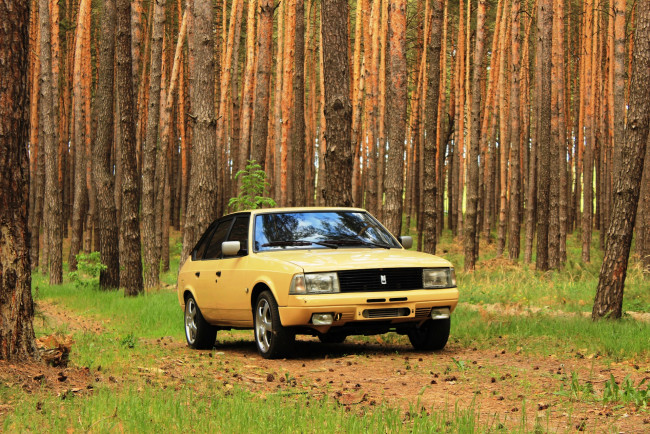 Обои картинки фото москвич- 2141, автомобили, москвич, москвич-, 2141, автомобиль, жёлтый, ретро, лес