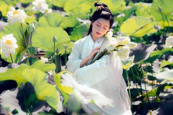 Картинка девушки -+азиатки азиатка лотосы кимоно