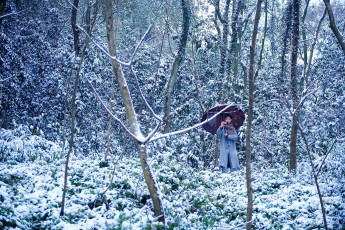Картинка мужчины xiao+zhan актер пальто шарф камера зонт лес снег
