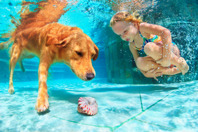 Обои картинки фото разное, дети, собака, девочка, ракушка, бассейн