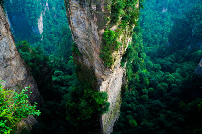 Обои картинки фото природа, горы, лес, китай, утес, зеленый, лето, пейзаж, вид, с, воздуха, азия, национальный, парк, чжанцзяцзе, zhangjiajie, national, park