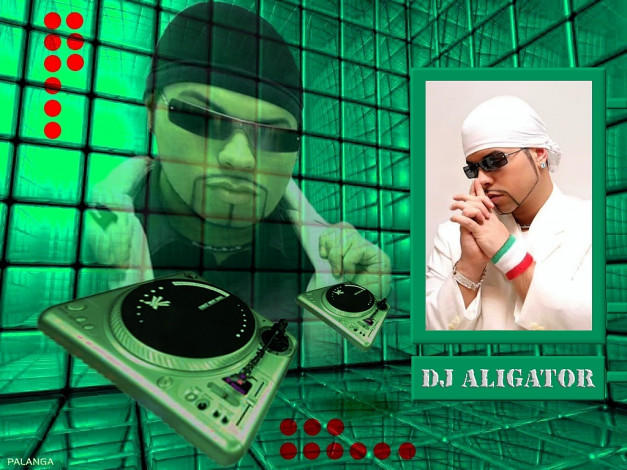 Обои картинки фото dj, aligator, музыка