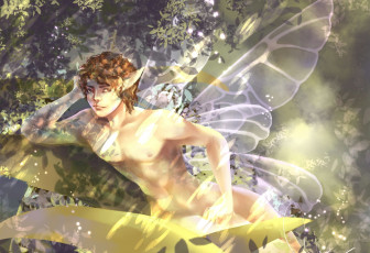 Картинка фэнтези феи природа листья крылья парень