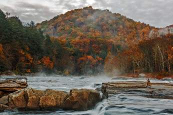 Картинка природа реки озера лес река камни