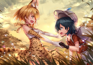 обоя аниме, kemono friends, девушки, фон, взгляд