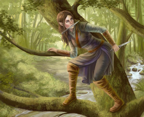 Картинка фэнтези эльфы девушка фон дерево кинжал