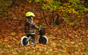 обоя разное, дети, ребенок, шлем, велосипед, осень, листья