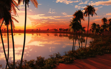 Картинка 3д графика nature landscape природа вода пальмы горы солнце