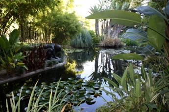 Картинка botanical garden san marino california usa природа парк