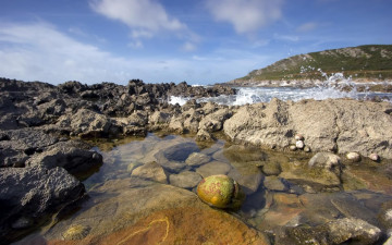 Картинка rock pool pebble природа побережье поток камни вода