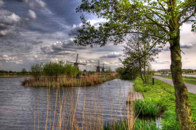 Обои картинки фото рейн, kinderdijk, holland, природа, реки, озера, ветряки