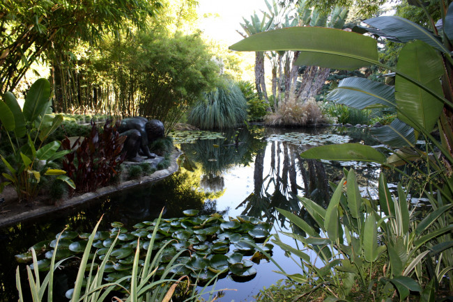 Обои картинки фото botanical, garden, san, marino, california, usa, природа, парк