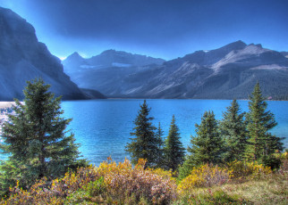 Картинка bow lake banff national park alberta canada природа реки озера озеро боу банф альберта канада горы деревья