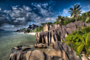 Картинка природа побережье океан тропики скалы пальмы джунгли