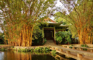 Картинка Чайный домик природа парк китай пруд растительность