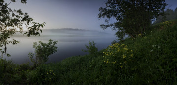 Картинка природа реки озера озеро туман кусты