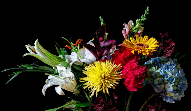 Обои картинки фото цветы, разные, вместе, лилии, хризантемы, гербера, гвоздика, гортензия