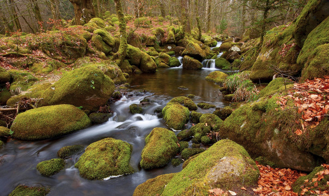 Обои картинки фото river, meavy, england, природа, реки, озера, осень, камни, лес, река, англия