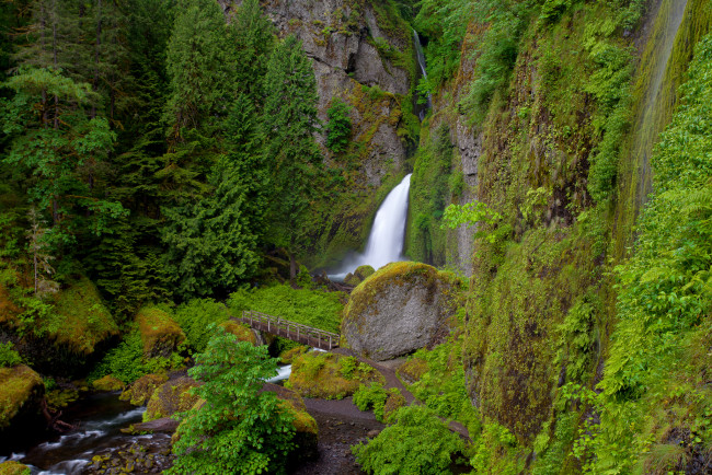 Обои картинки фото wahclella, falls, oregon, природа, водопады, скалы, река, мост, растительность