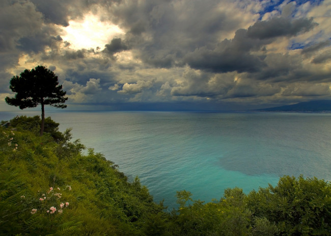 Обои картинки фото golfo, di, napoli, italy, природа, побережье, облака, дерево, неаполитанский, залив, италия