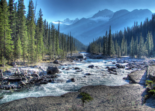 Обои картинки фото mistaya, river, alberta, canada, природа, реки, озера, лес, горы, альберта, канада, река, камни