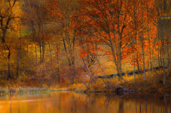 Картинка природа лес осень озеро деревья склон