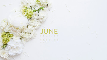 обоя календари, цветы, белый