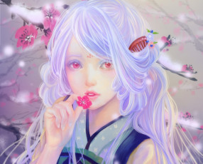 Картинка аниме unknown +другое девушка sunmomo арт ветви цветы сакура