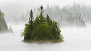 Картинка природа реки озера островок