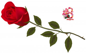 Картинка праздничные международный+женский+день+-+8+марта фон роза цветы