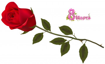 обоя праздничные, международный женский день - 8 марта, роза, фон, цветы