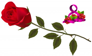 обоя праздничные, международный женский день - 8 марта, фон, цветы, роза