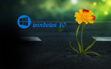 обоя компьютеры, windows  10, логотип, фон