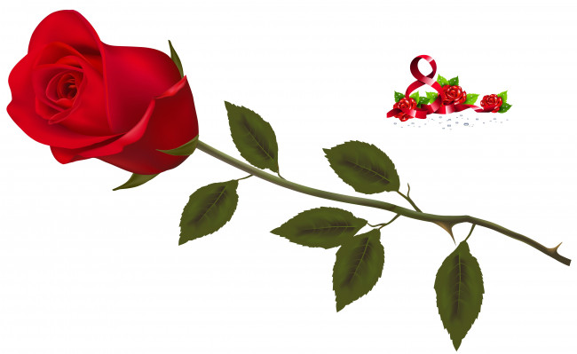 Обои картинки фото праздничные, международный женский день - 8 марта, фон, цветы, роза