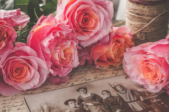 Картинка цветы розы ностальгия ретро винтаж розовый