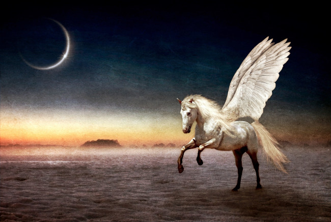 Обои картинки фото фэнтези, пегасы, луна, конь, крылья