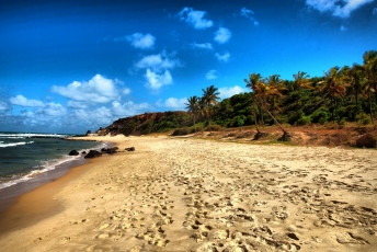 Картинка природа тропики пальмы пляж остров