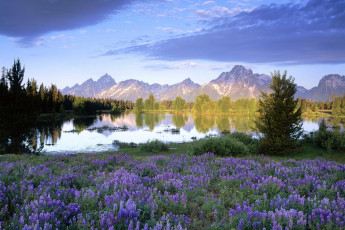 Картинка природа луга озеро горы поляна цветы деревья тучи