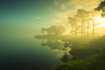 Картинка природа реки озера лес утро берег