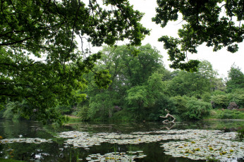 Картинка дания grаsten природа реки озера река лилиии