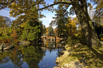 Картинка Японский сад вроцлав польша природа реки озера