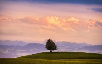 Картинка природа деревья пейзаж поле горы облака дерево