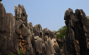 Картинка природа горы каменный лес в провинции юньнань