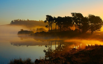 Картинка природа реки озера деревья туман река утро
